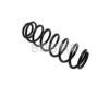 BUGIAD BSP21610 Coil Spring